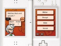 THINK - Logik Trainer (NDS)